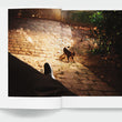Load image into Gallery viewer, Je suis courage - Les Editions de Juillet