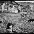 Charger l'image dans la galerie, Journal d'un photographe - Les Editions de Juillet