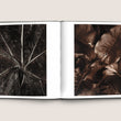 Charger l'image dans la galerie, Jean Dieuzaide, soixante ans de photographies - Les Editions de Juillet