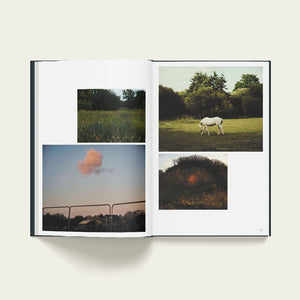 Strates - Les Editions de Juillet