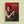 Load image into Gallery viewer, Jeunesse(s) - Les Editions de Juillet
