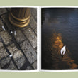 Load image into Gallery viewer, Majestic
