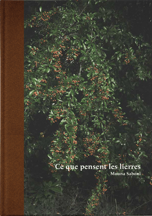 Ce que pensent les lierres - Les Editions de Juillet