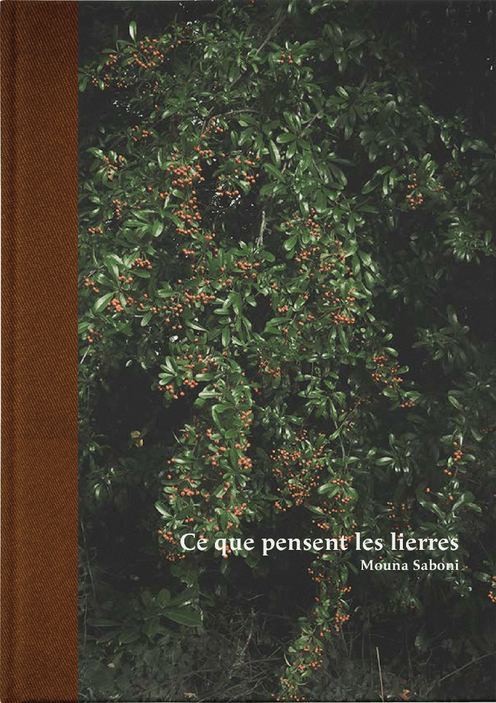 Ce que pensent les lierres - Les Editions de Juillet