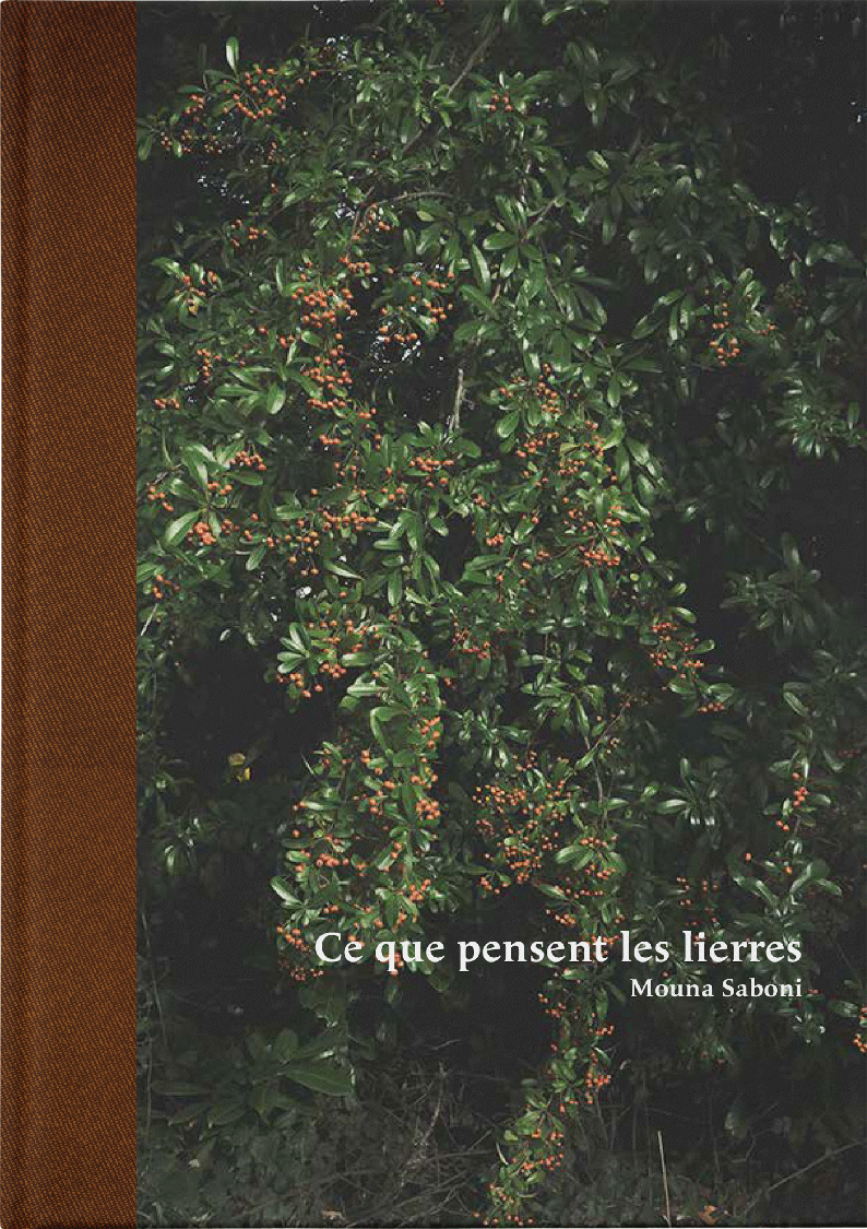 Ce que pensent les lierres - Les Editions de Juillet
