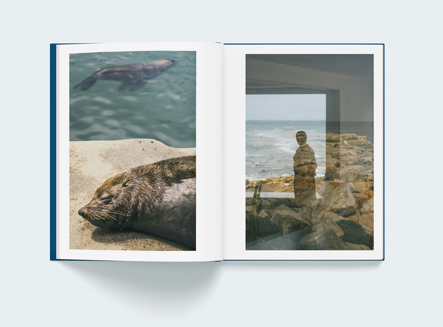 The Bay - Les Editions de Juillet