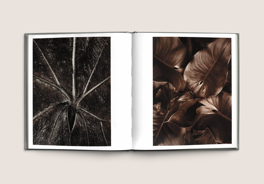 Jean Dieuzaide, soixante ans de photographies - Les Editions de Juillet